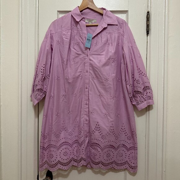 LOFT Dresses & Skirts - NWT - LOFT Eyelet Shirtdress – Size XS